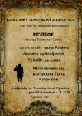 Revizor