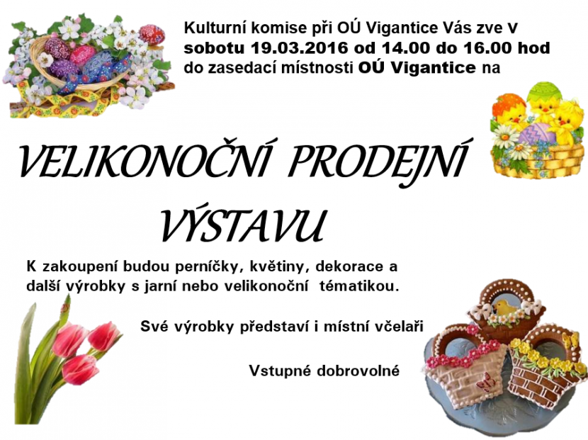 výstava