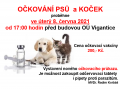 Očkování psů